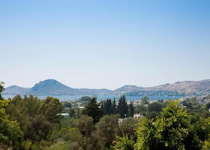 Park By Important Group Travel Villa