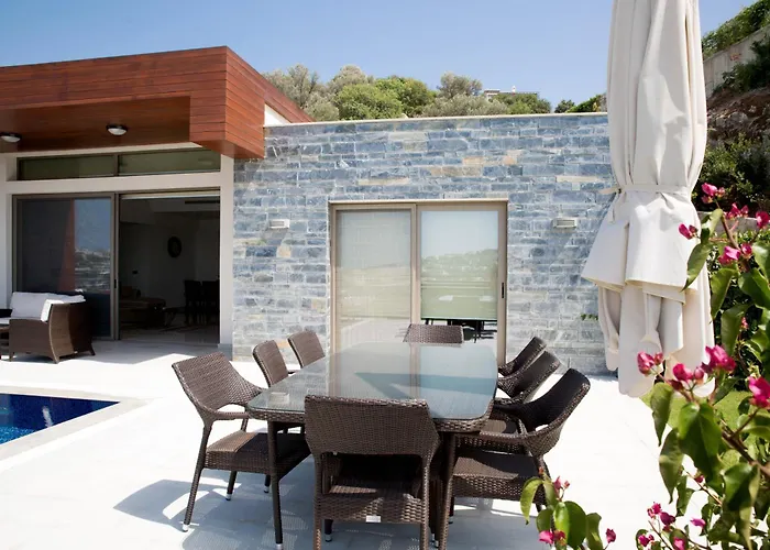 Villa Park By Important Group Travel *