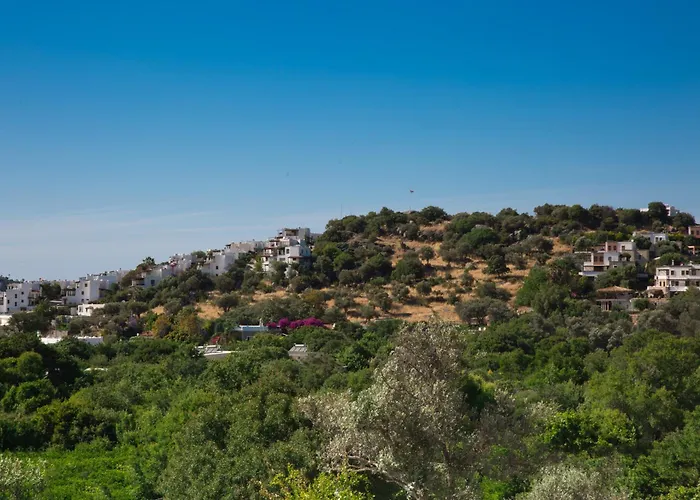 Park By Important Group Travel Villa *